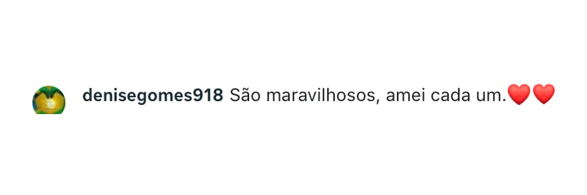 Comentário de denisegomes918 no Instagram: “São maravilhosos, amei cada um.”